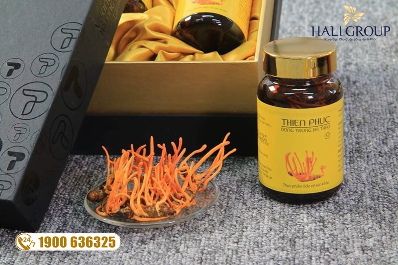 Thông tin về đông trùng hạ thảo Thiên Phúc Việt Nam