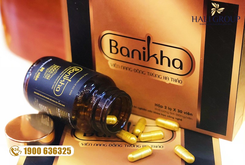 Đại lý bán đông trùng hạ thảo Banikha tại HCM