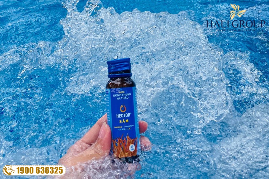 Đông trùng hạ thảo – bài thuốc vàng trong việc giúp ổn định huyết áp